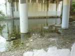 low water under bridge