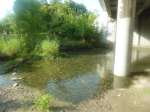 stream & south bank between crossing trail & bridge
