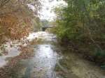 downstream to bridge wtih trees